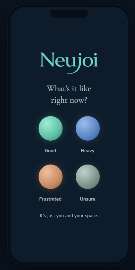 The same NeuJoi check-in on a phone in dark mode.