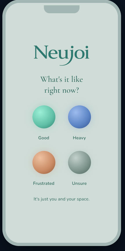 The NeuJoi check-in on a phone in light mode, asking what it is like right now.